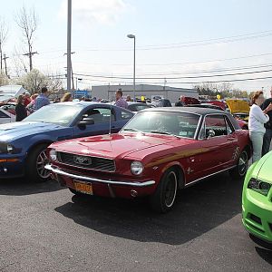 2014 50th Anniversary Mustang Show West Herr 053