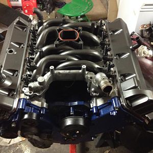 Block is the only thing left stock, Painted new Ford blue, Valve covers and intake manifold are painted Dark Shadow Gray like the car.