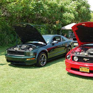 Hudson Valley Mustangs Car Show - 2014