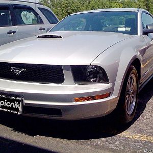 Less than a week after test driving and having my mechanic say it is practically a new car, I picked up this 2005 Mustang V6 Coupe.  (Photo taken with