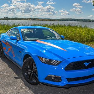 2017 Grabber Blue Ecoboost Premium with Performance Package.