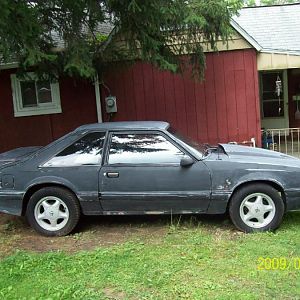 88 Mustang Project car
