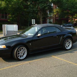 My 1999 Cobra
