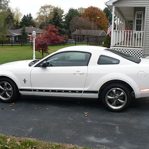 Mustang 008