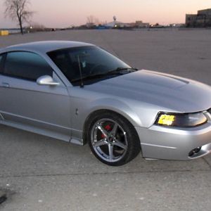 Mustang 047