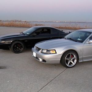Mustang 037