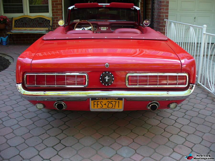 1965 shelby tail lights New York Mustangs