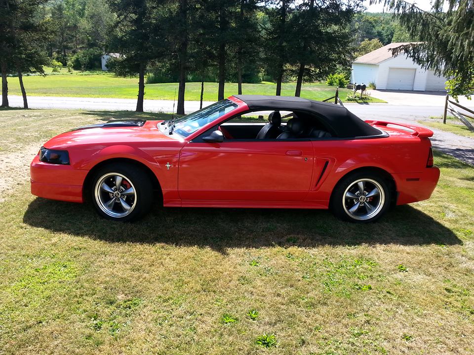 2000 Mustang1.jpg