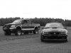 1999 Ford F-150 Lariat  FX4 & 2004 Ford Mustang MACH 1.JPG