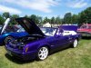 elks show.jpg