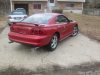 mustang pics myspace 010.jpg