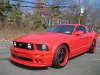 user1091_pic2936_1239411432_thumb.jpg