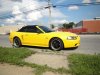 MUSTANG MAGIC Saturday June last week 2009 082.jpg