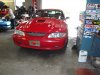 MUSTANG MAGIC Saturday June last week 2009 052.jpg