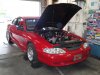 MUSTANG MAGIC Saturday June last week 2009 062.jpg