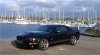 Shelby1.jpg