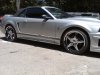 mustang.jpg