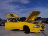 stang.jpg
