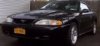 1998vert.jpg