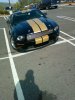 Shelby GT-H 4.jpg