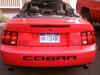 cobra 003.jpg