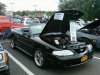lia20101.jpg