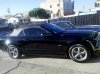 IMG_20100919_173713.jpg