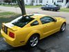My Mustang 032.JPG