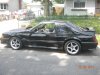 vegas and mustang 033.jpg