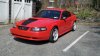 Real Mustang 2.jpg