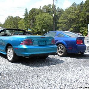 Mustangs