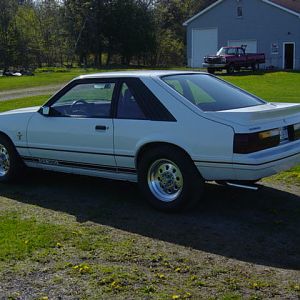 1984 1/2 GT 350, 20th anniversary