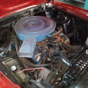 1969 Mustang Convertible