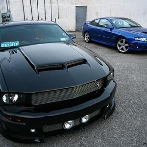 Mustang and Goat