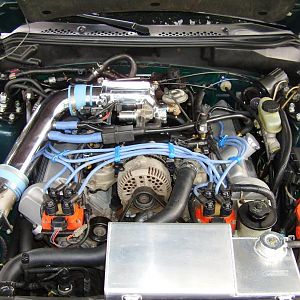 Late summer project of installing my 2002 GT engine with 22,000 miles into my SN95.