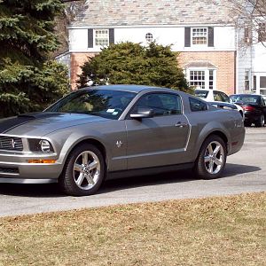 2009 Mustang V6 Premium Coupe

Buddy