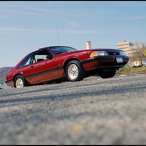 2802571291 7287d77e86