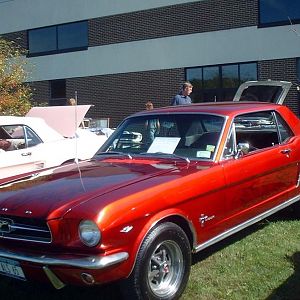 CarShow