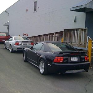 IMG 0161