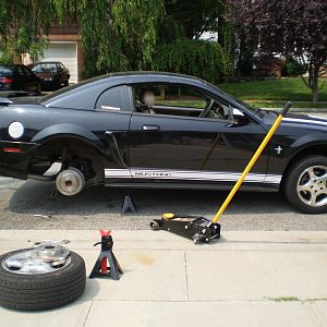 NEw rotors-pads and calliper covers