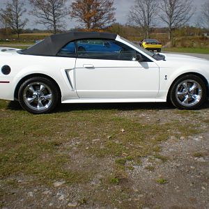 99 Cobra 004