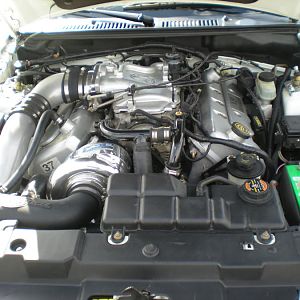 99 Cobra 001