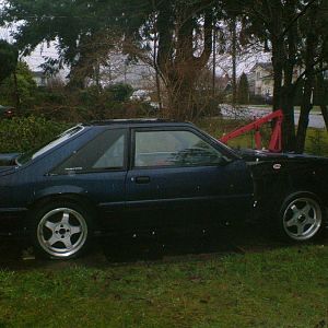 DSCF1583