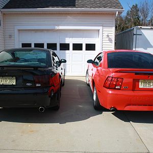 IMG 3516