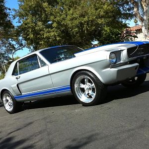 1966 Mustang 331 stroker, T5  Five speed, 650 holly,351 stroker and cam
