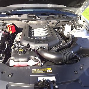 IMG 20110304 00007