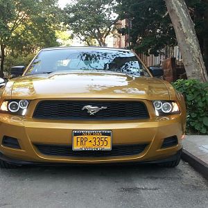 My 1st and only Mustang :D