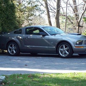 Mustang 16