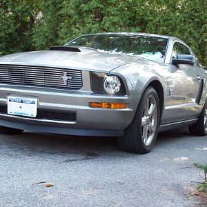 Mustang 17