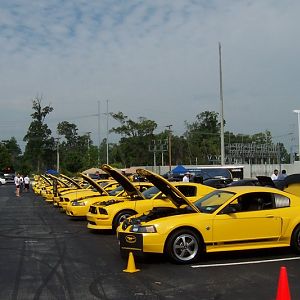 Me at Mustang Week, Took First Place among the 03-04 Mach1 class